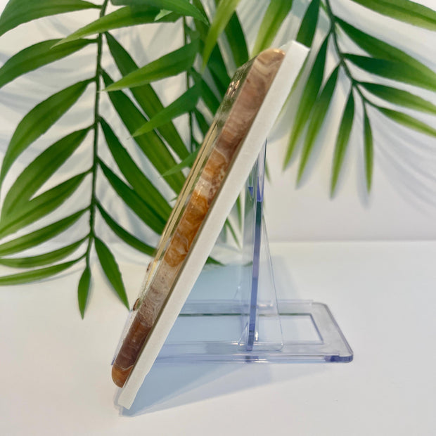 Hand Painted Double Decora Switch Plate Cover: Brown, Tan & Ivory